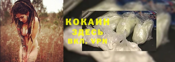 ПСИЛОЦИБИНОВЫЕ ГРИБЫ Богородск