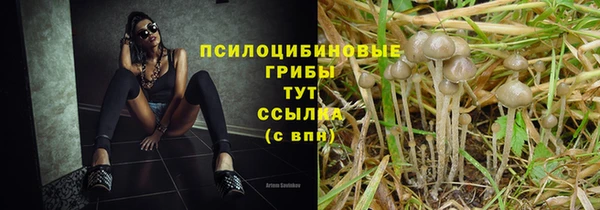 ПСИЛОЦИБИНОВЫЕ ГРИБЫ Богородск