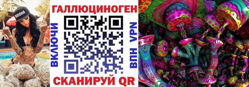 гидра ссылка  Киржач  Псилоцибиновые грибы мицелий  купить наркоту 